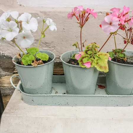 Dom wakacyjny Daisy's Skipton