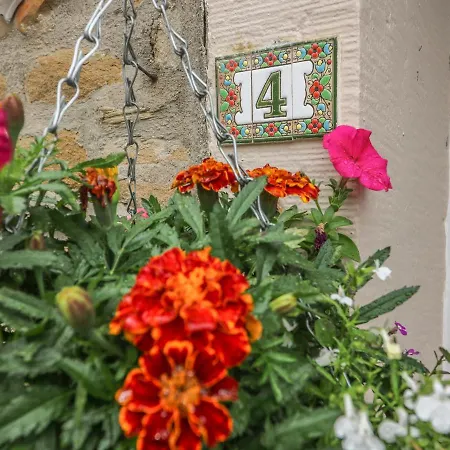 Daisy's Dom wakacyjny *